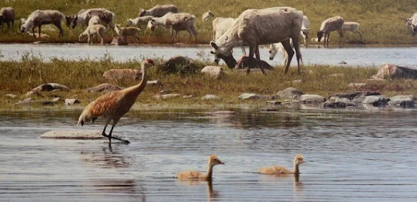 Central Tourism and Outfitting